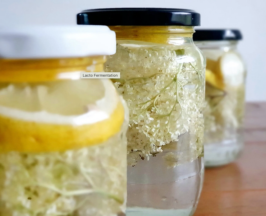 Probiotic fizzy elderflower soft drink